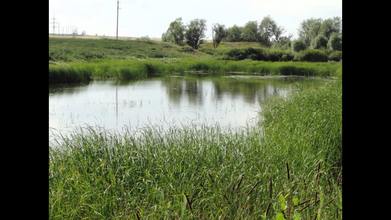 Курманаевский район село костино. Курманаевский район Оренбургская область. Водоёмы Оренбургской области Курманаевский район. Село Родионовка Курманаевский район Оренбургская область. Прокаевский пруд Курманаевский район Оренбургской области.