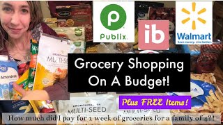 Grocery Shopping On A Budget + Freebie Items | Easy Walmart Deals | Publix 2/19-2/25 Lets Shop!