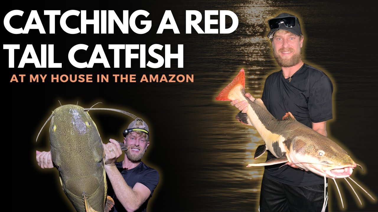 BIG Red Tail | Fishing at Night in the Amazon…..