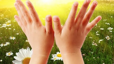 Песня Здравствуйте ладошки