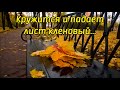 Кружится и падает лист кленовый | Петр Бальжик, Алина Русавук