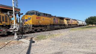 Union Pacific Empty Grain Train - Navasota TX 8/15/23