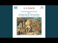 St Matthew Passion BWV 244 Aria Blute Nur Du Liebes Herz Soprano mp3