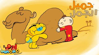 أغنية جميل الجمل للأطفال 🐪🌵 | آدم ومشمش