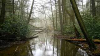 Inverno  Bossa Nostra