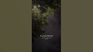 وَمَا تَوْفِيقِي إِلَّا بِاللَّهِ ۚ عَلَيْهِ تَوَكَّلْتُ وَإِلَيْهِ أُنِيبُ|القارئ مشاري العفاسي.