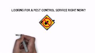 24 Hour Emergency Pest Control Thornton CO Call 855-637-1101 Now!