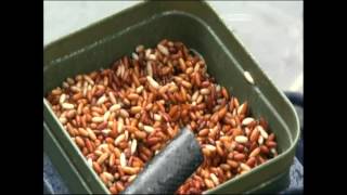 Sky Sports Special Big River Roach
