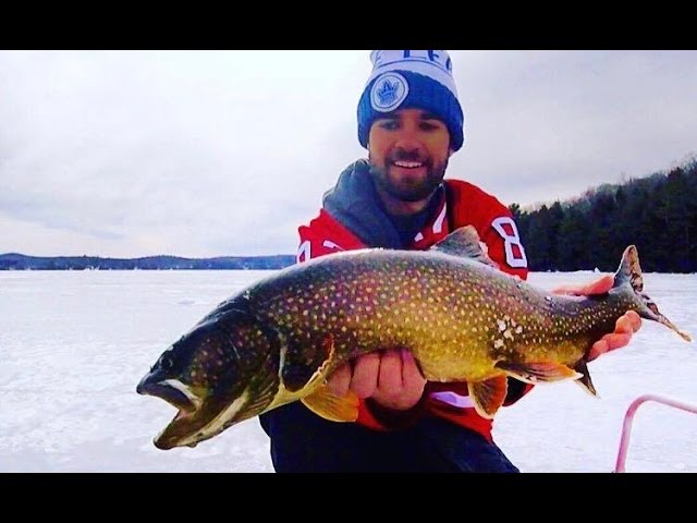 Muskoka Golden Trout --- Lake trout fishing, Ontario. 