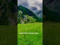 A little slice of earth || Gappa valley || Chaprote || Nagar || Gilgit Baltistan || Pakistan
