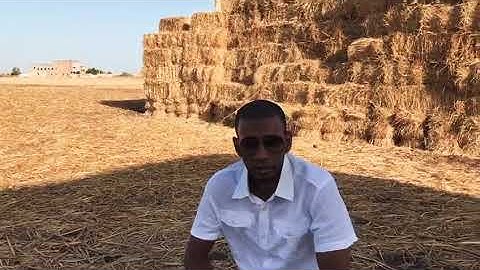 تلاوة بصوت القارئ كمال المروش qari kamal Almarouch