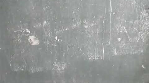 CHAPTER - 2 - PREHISTORIC MAN - HISTORY - LEARN WITH US