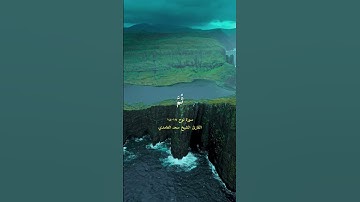 سورة نوح ١٧ ١٨  سعد الغامدي