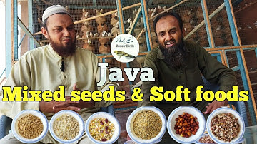 Java mixed seeds| Java sof food|Java|zunair birds