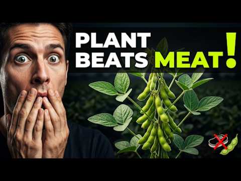 20 Plant Foods With More Protein Than Meat (Number 12 Changes Everything).