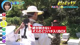 【爆笑ドッキリ】防護服の中にハチが！？JOYの大パニック発狂がヤバすぎるｗｗ【ドッキリGP】