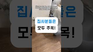 고양이 화장실 치우기 힘들죠? 자동으로 해결됩니다! #고양이화장실 #고양이 #생활꿀템 #반려동물용품 #고양이집사 #shorts