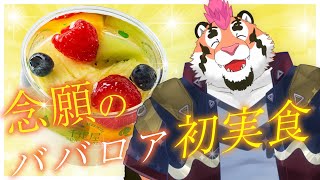 【夢を叶えた】初めて本物のババロア食べるぞ 【DNG総長】