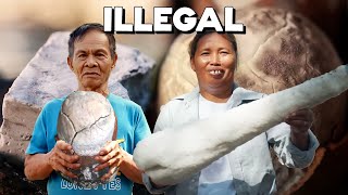 The Rarest Salts in the World | Filipino Salts by FEATR 167,530 views 2 weeks ago 1 hour, 8 minutes