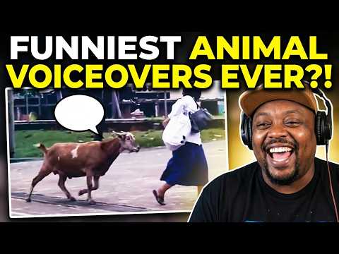 Are These The Funniest Animal Voiceovers Ever? (Tony Baker Reaction)