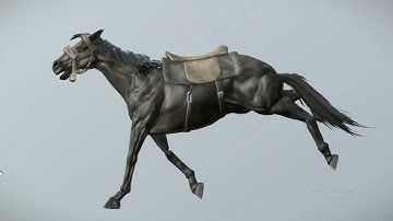Horse Running Animation /  3D animation