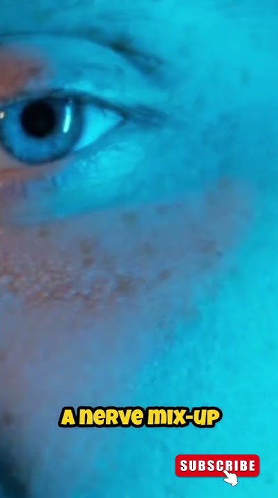 why-do-some-people-sneeze-when-they-look-at-the-sun-youtube
