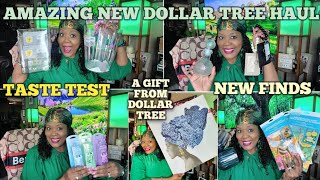 🤩UNBELIEVABLE HUGE EXCITING NEW DOLLAR TREE HAUL/ 🎁 A GIFT FROM DT/😍NEW FINDS/ TASTE TEST😋   5-18-26