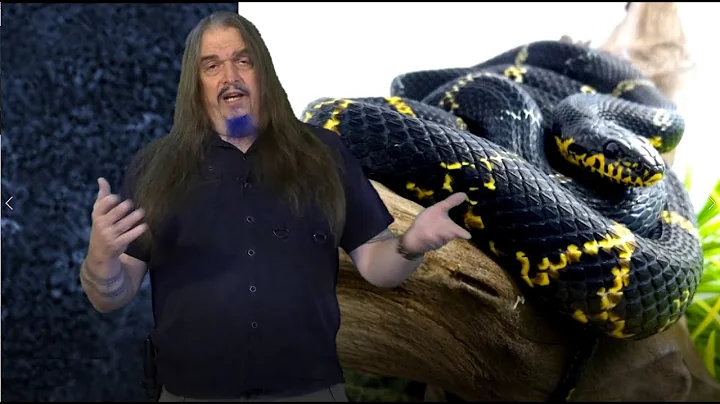 Devil-ution of de Serpent