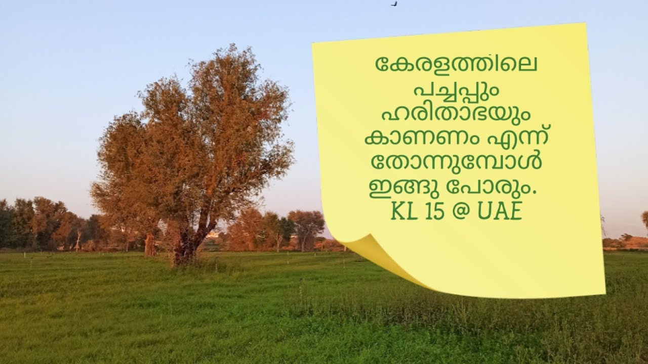 UAE Farm Visit - Greenery at its best