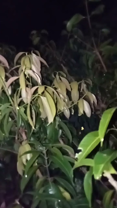 #music https://youtu.be/7V-hTAq8Oxg?si=Pze1YxqTUQxM_QpN April 14, 04:49 ¹←°²²'44.6