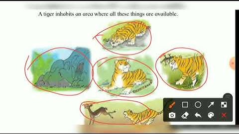 Std 4th EVS 1 Chp 2 The Inter   relationship between Living Things Part 2