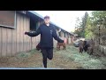 10 minute jumprope with miss henderson  miniature horses