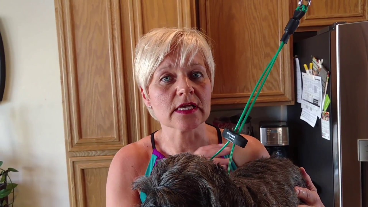 neem oil dog toothpaste