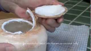 How to Open a Young Coconut! Have you try use coconut meat for your parrots