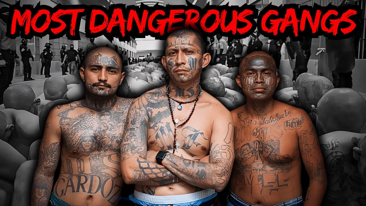 Inside the World’s Most Dangerous Gangs - YouTube