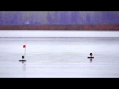 ПЕРВЫЙ ЛД! Щука на Мандулу! Голавль на Мигалку! Подводная съемка