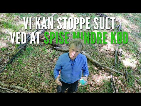 Video: Skal jeg stoppe med at spise?