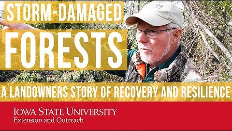 Storm-Damaged Forests: A Landowner Story of Recovery and Resilience