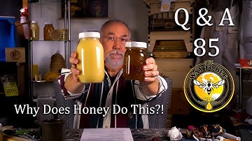 Backyard Beekeeping Q & A 85 Oxalic Acid Treatment Done Wrong? Preserving Honey Freshness and more.