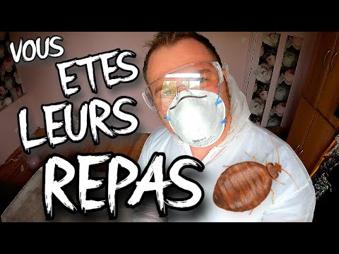 Punaises de lit en chambre bébé : froid -40°C, DIATHOR et pièges