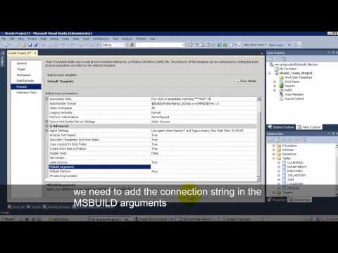 Automated Build with Oracle DB Project on Visual Studio 2010