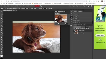 How to create a vignette in Photopea and PhotoShop