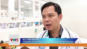RẮN LỤC ĐUÔI ĐỎ CẮN NHIỀU NGƯỜI TẠI QUẢNG NGÃI | VTV5