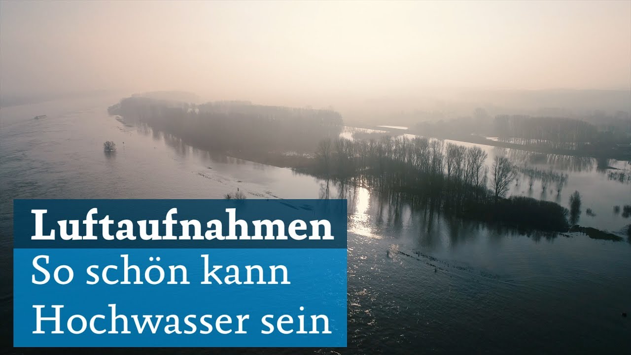 Hochwasser in Köln: Rhein-Idylle in Worringen
