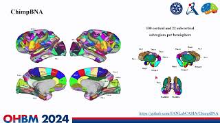 OHBM 2024 | Oral Session | Yufan Wang |  Comparative Analysis of Brain Connectivity and Gene Expre…