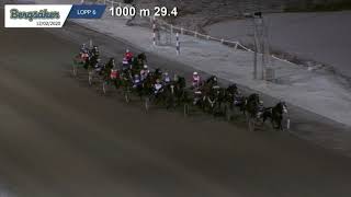 Vidéo de la course PMU PRIX SINGALO