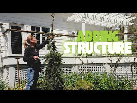Deck Garden Redo 🌿 New Feature Tree & Shrubs