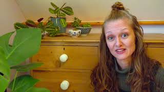 How to make a difference in the day-to-day  | Lucy Willoughby | TEDxYouth@GandyStreet