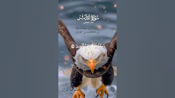 تلاوة خاشعة عطرة مباركة جميلة عذبة للشيخ ماهر المعيقلي ماتيسر من سورة المدثر