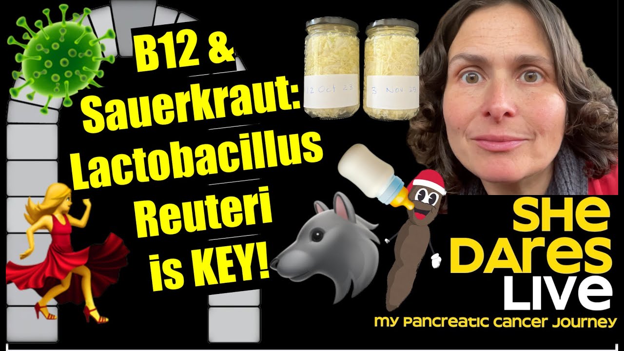 B12 & Sauerkraut Lactobacillus Reuteri makes B12 and Key to ending my